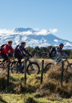 Three mountain bikers ride on a grassy trail past a snow-capped mountain.
