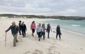 Walkers on a beach
