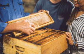 Island Beehive