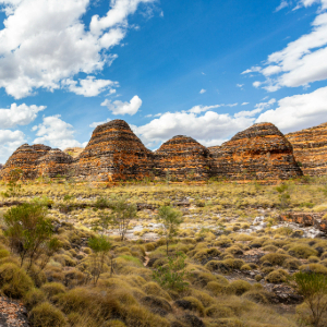 Grassy area with large Mountain mounds
