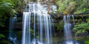 Lush forest waterfall, tranquil tiered cascades, and vibrant green moss.