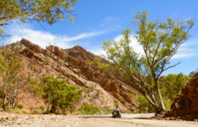 Brachina Gorge