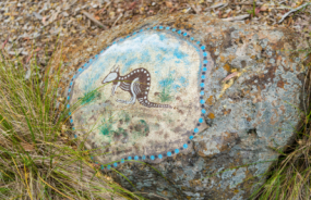 Aboriginal rock art