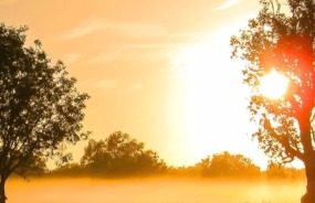 Kakadu