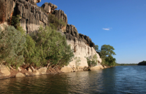 Fitzroy River