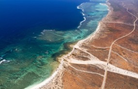 Shark Bay