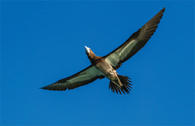 Buccaneer Archipelago