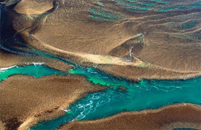 Freshwater Cove, Montgomery Reef