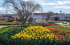 Bowral's Corbett Gardens