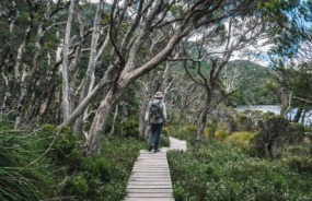 Wild Tasmania