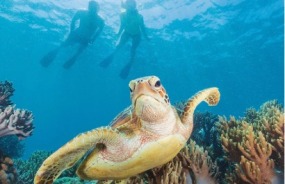 Great Barrier Reef