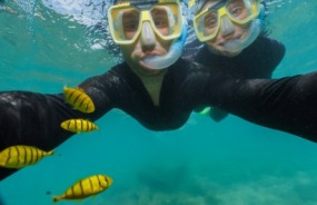 Queensland snorkeling