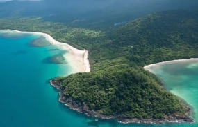 Daintree Rainforest