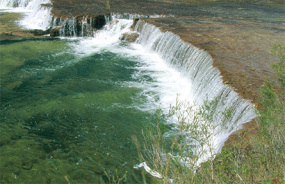 Fruit Bat Falls