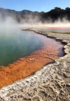 Steaming thermal pool with vibrant orange, green, and white mineral deposits.