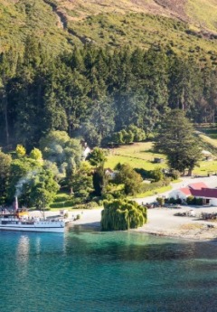 A steamship docked at a lush, green lake shore with buildings and trees.