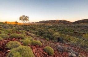 West MacDonnell Ranges