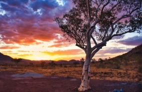 The Pilbara