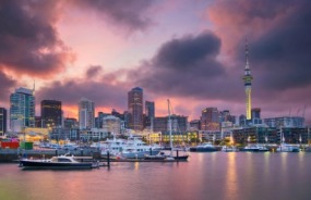 Auckland city