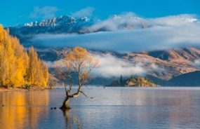 Lake Wanaka