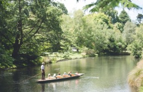 Punting on the Avon River