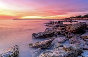 Darwin's coast