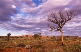 Northern Territory