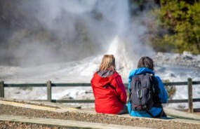 Geyser in Rotorua