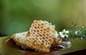 Manuka honey