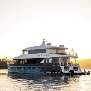 A modern catamaran glows in the sunset on the water.