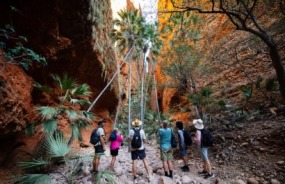 Echidna Chasm