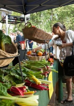 A person shops for fresh produce at a local farmers market stall.