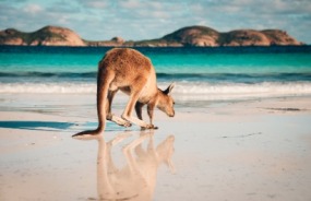 Cape Le Grand National Park