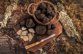 Truffles