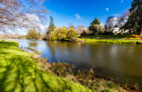 Deloraine riverbank
