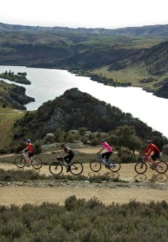 On the Cycle path through Roxburgh Gorge