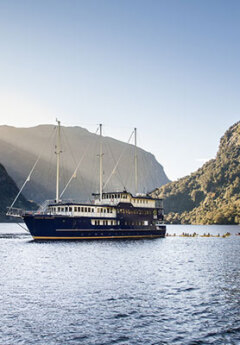 Doubtful Sound cruise with kayakers