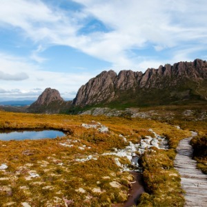 Panoramic view of a long boardwalk through tall golden grass toward a distant mountain range.