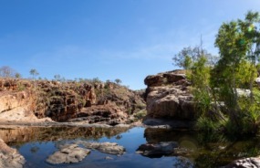 Fitzroy River Lodge, Western Australia