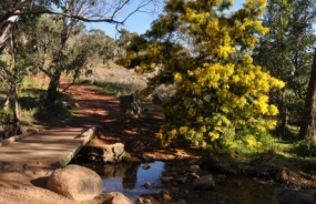 Kununurra, Western Australia