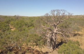 Durack River, Western Australia