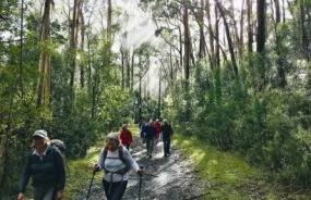 Great Ocean Road Walk Aire River Inlet