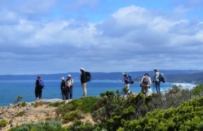 Great Ocean Road Walk Aire River Inlet Hike
