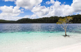 White sand beach