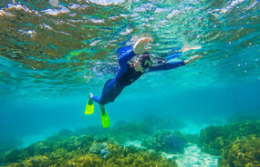 Snorkelling