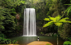 Millaa Millaa Falls