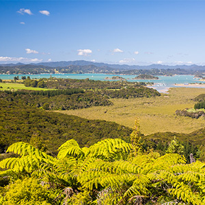 Aerial view of forests and ocean in Bay of Islands