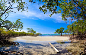 Beach in Port Douglas