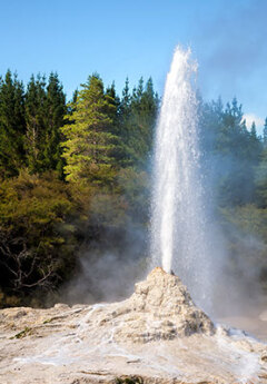 A white geyser erupts from a rocky cone surrounded by pine trees under a blue sky.