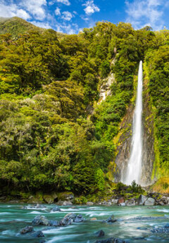 Image of Thunder Creek Falls in Haast Pass